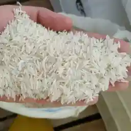 قیمت خرید برنج طارم هاشمی شمال عمده به صرفه و ارزان